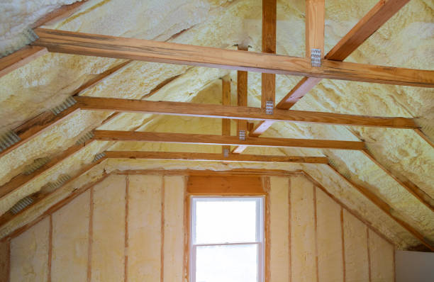 Best Residential Insulation in Kapaa, HI