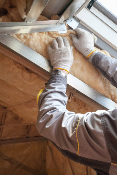 Best Insulation for Specific Applications in Kapaa, HI